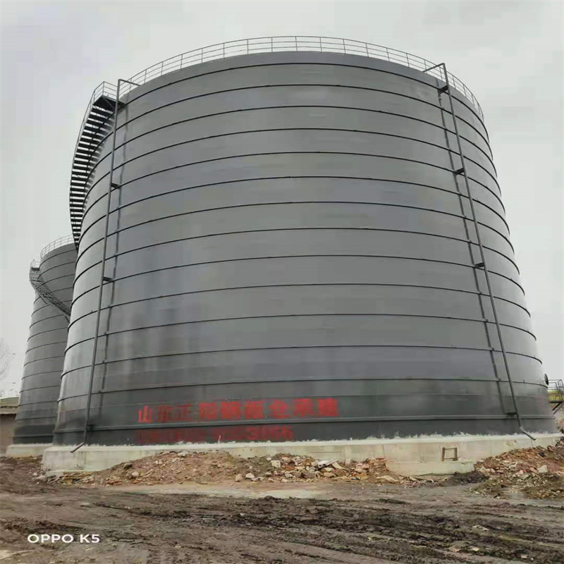 农安3万吨大型钢板库