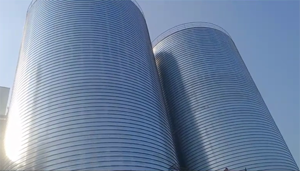 农安2座混凝土高架卷板仓